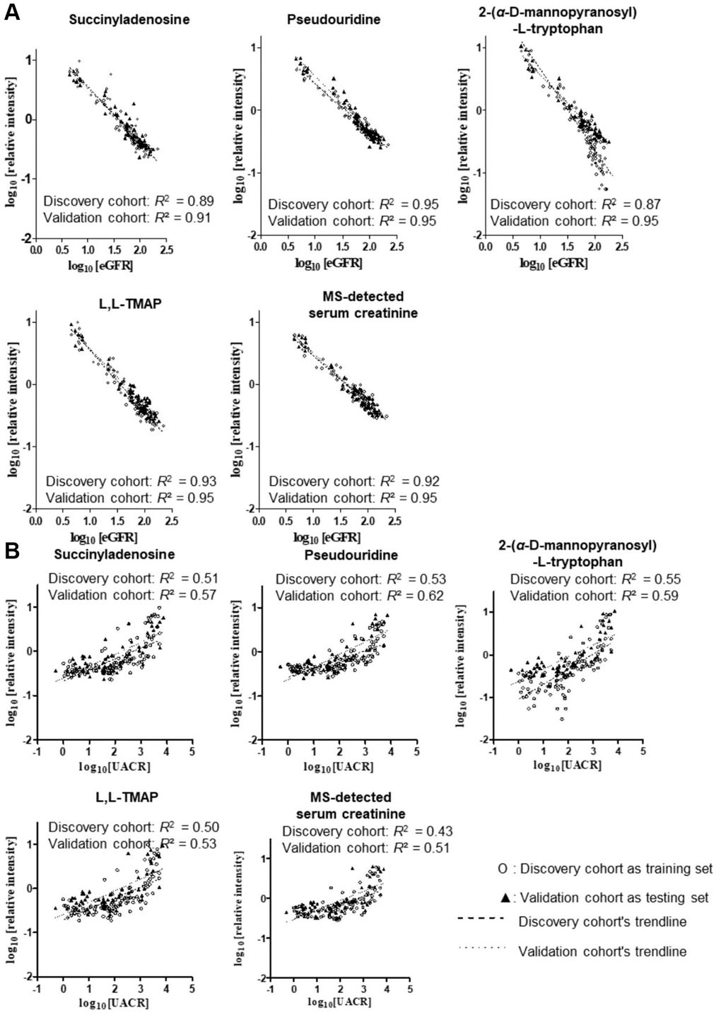 Linear regression analysis among CDBs, sCr, eGFR (A) and UACR (B) in all stages and T2D patients after log10 transformation, respectively. Four metabolites showed similar strong predictive power with MS-detected sCr as their R2 of the equations were all above 0.85. R2 of UACR prediction model were close to 0.5.