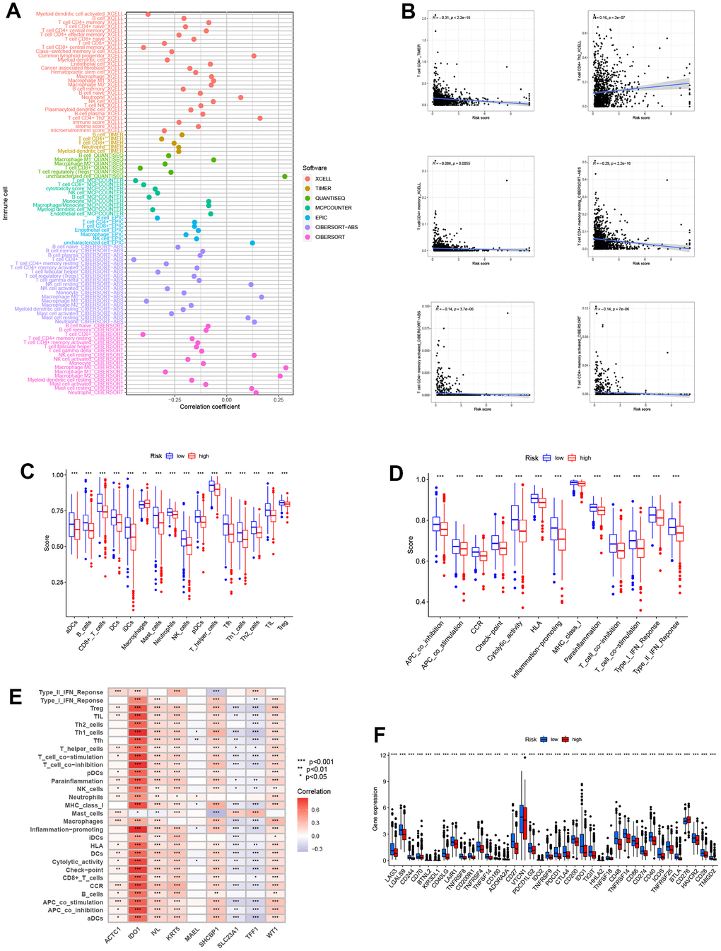 Analysis related to immune between two groups. (A) Immune cell bubble plot of risk groups. More immune cells were associated with the high-risk group. (B) Correlations between risk score and immune cell types. (C, D) ssGSEA scores of immune cells and immune functions between high and low-risk groups. ssGSEA scores were lower in the high-risk group. (E) Correlations between immune cells/functions and risk signature genes. (F) The immune checkpoint genes were expressed differently in the two groups, and the gene tended to be lower in the high-risk group (***P