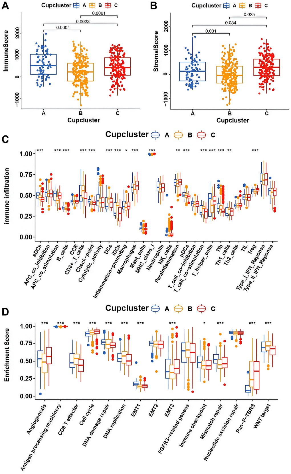 Potential characteristics in distinct cuproptosis-related phenotypes. (A) Differences in immune score among three cuproptosis regulation patterns in merge cohort (P B) Differences in stromal score among three cuproptosis regulation patterns in merge cohort (P C) The fraction of TME infiltrating cell in distinct cuproptosis regulation patterns using the CIBERSORT algorithm. The bottom and top of the boxes were interquartile range of values. The thick line in the boxes indicated median value. Significant results are indicated as *p **p ***p D) Differences of stroma-activated pathways in three cuproptosis regulation patterns. Significant results are indicated as *p **p ***p 