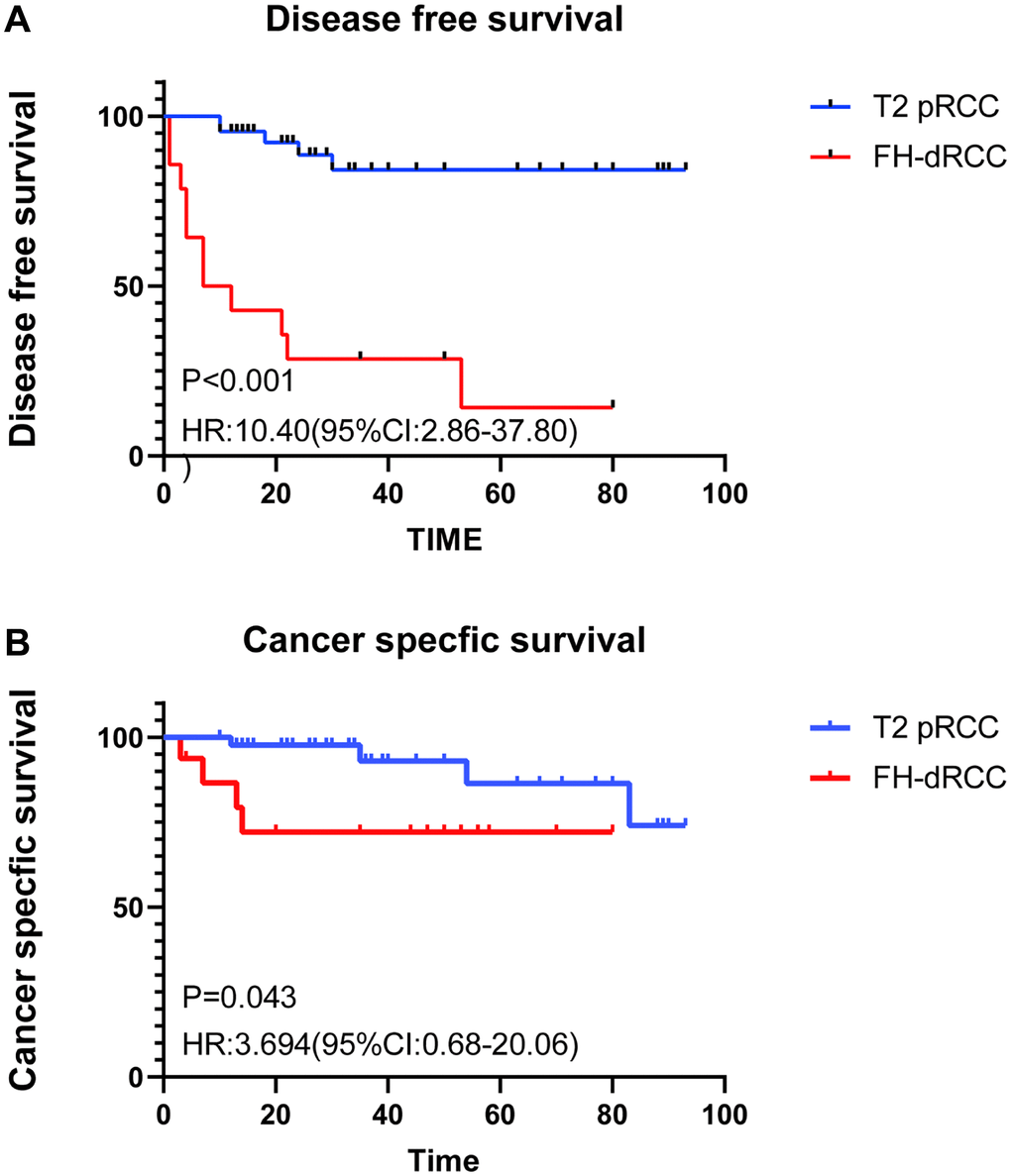 Comparison of survival between FH-dRCC patients and T2 pRCC. (A) DFS of FH-dRCC and T2 pRCC; (B) CSS of FH-dRCC and T2 pRCC).