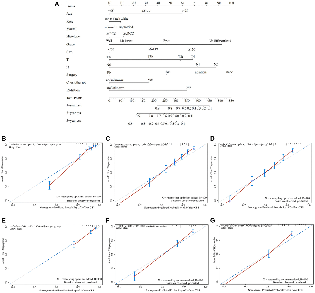 A nomogram predicting 1-, 3- and 5-year CSS of patients with locally advanced RCC. (A) Calibration plots of the relationship between predicted probabilities and actual values based on nomograms. (B–D) calibration curves for 1-year, 3-year and 5-year CSS in the training cohort; (E–G) calibration curves for 1-year, 3-year and 5-year CSS in the validation cohort).