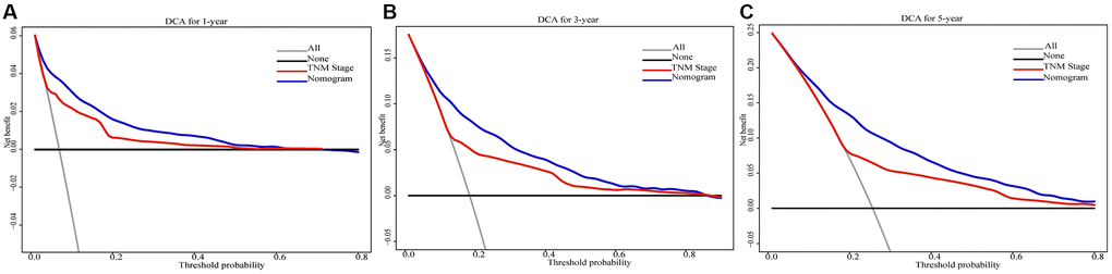 Decision curve analysis of the 1-, 3-, and 5-year CSS nomogram compared with that of AJCC 8th edition TNM stage in the validation cohort (A–C).