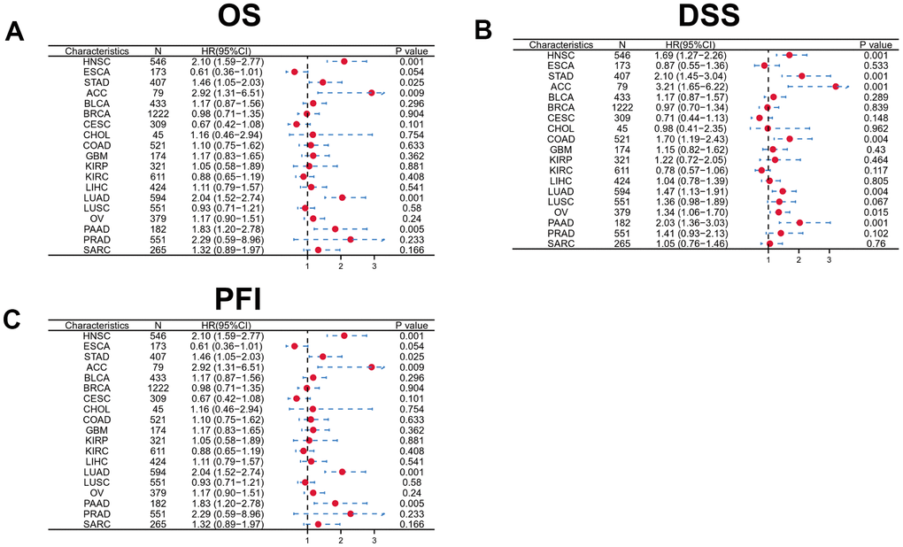 Forest plot showing the prognostic significances for different cancer subgroups based on high or low DKK1 expression. (A–C) Prognostic HRs related to DKK1 expression in various cancers in terms of OS (A), DSS (B), and PFI (C).