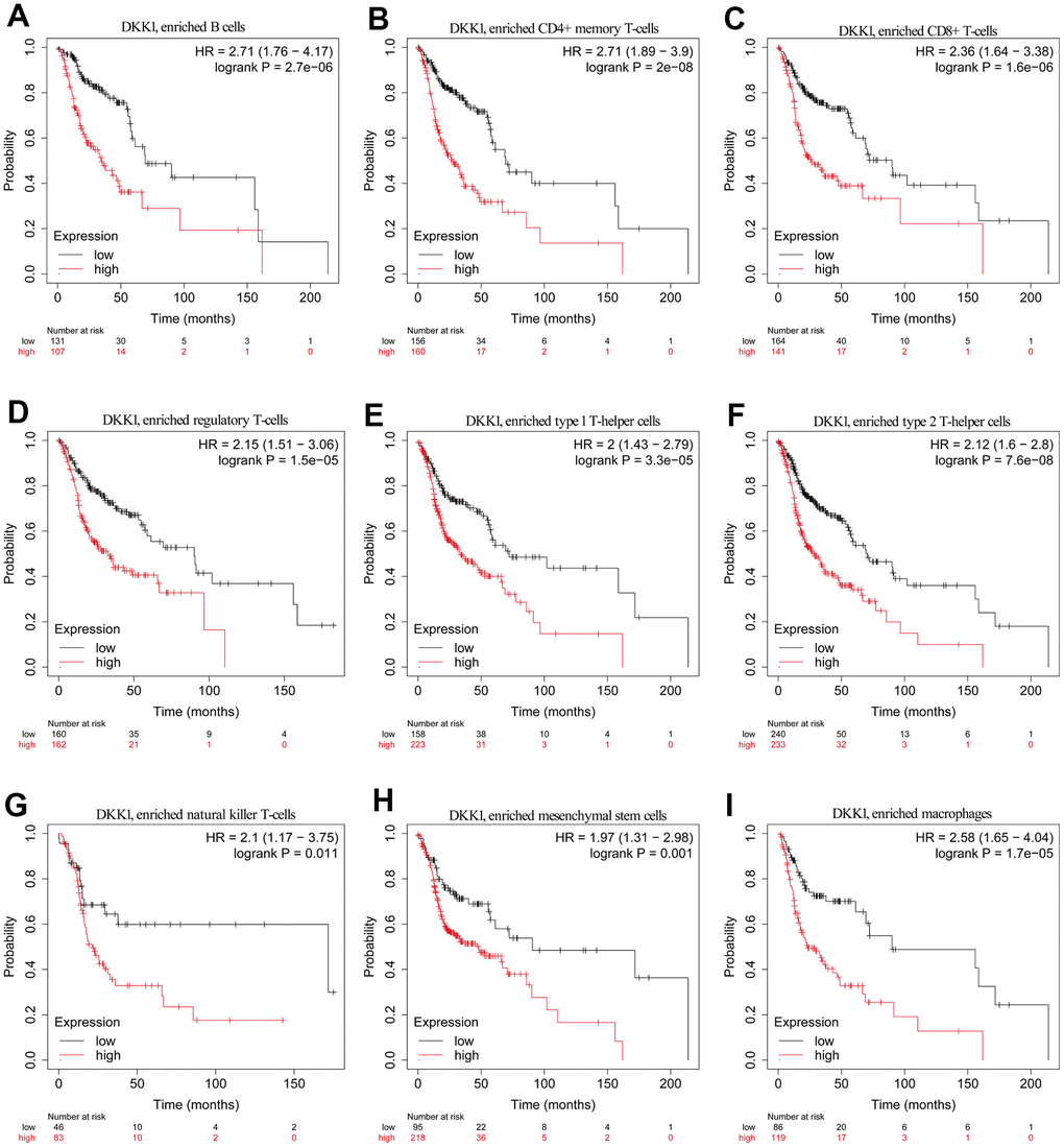 Comparison of KM survival curves of patients with low and high DKK1 expression in HNSCC, based on their immune subtypes. (A–I) Patients with HNSCC and high DKK1 levels in B cells, CD4+ memory T cells, CD8+ T cells, Treg cells, Th1 cells, Th2 cells, NK T cells, mesenchymal stem cells, and macrophages had a worse OS.