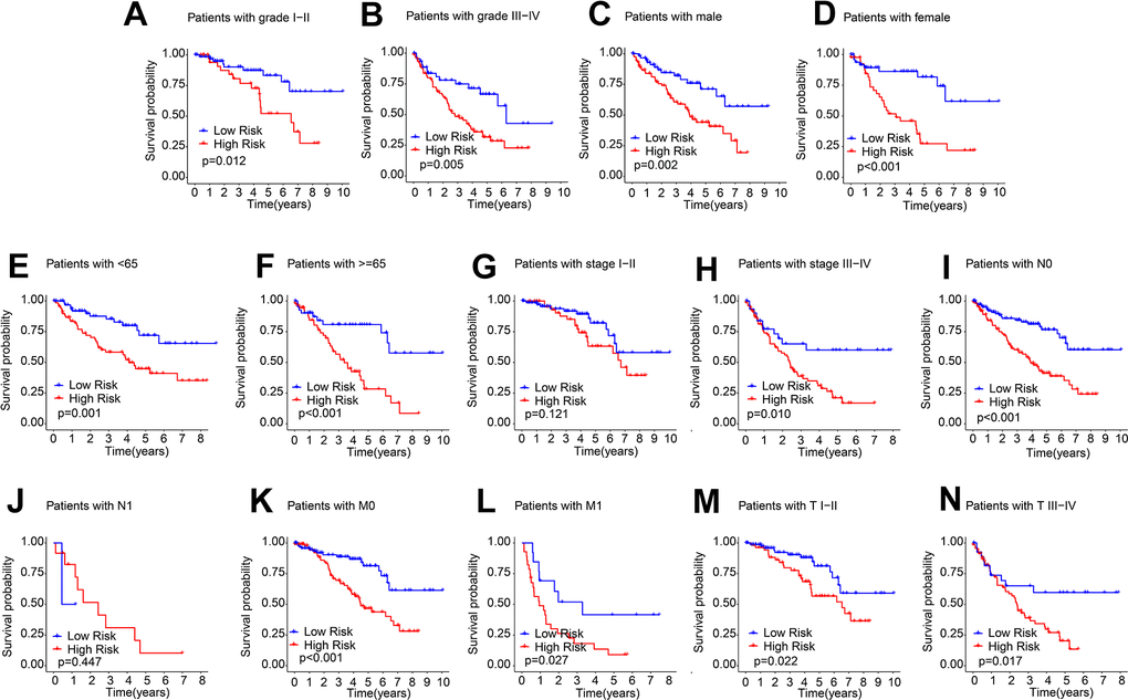 Prognostic analysis of ARLs score in different clinical features. The prognostic KM curve of ccRCC samples among the (A) Grade I-II; (B) Grade III-IV; (C) Male; (D) Female; (E) Age F) Age ≥ 65; (G) Stage I-II; (H) Stage III-IV; (I) N0; (J) N1; (K) M0; (L) M1; (M) T I-II; (N) T III-IV.