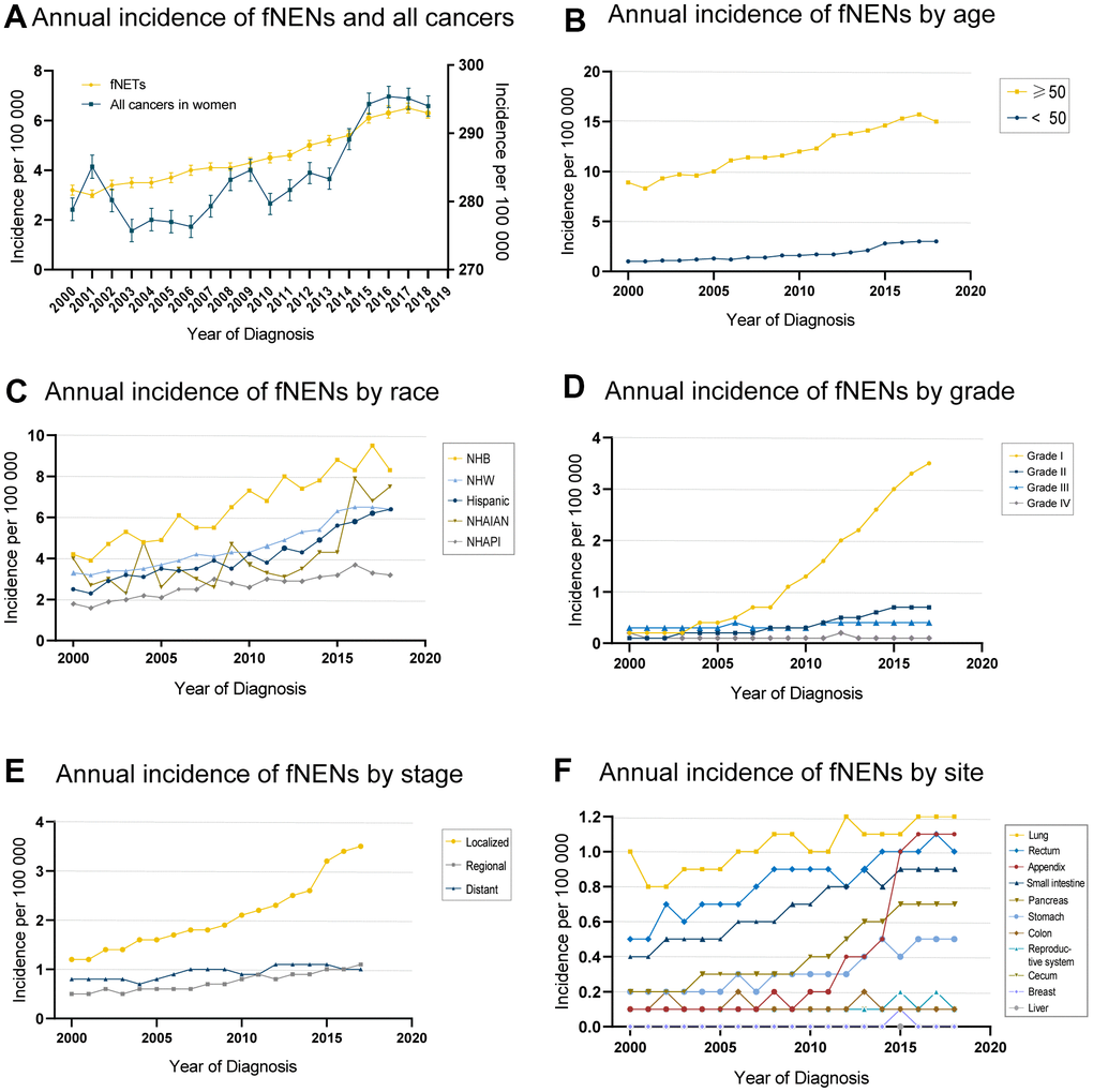 Morbidity tendency of female neuroendocrine neoplasms (fNENs) patients by age, race, stage, grade, and site. (A) The age-adjusted incidence of women patients in all cancers (right Y) and Neuroendocrine neoplasms (NENs) (left Y) during 2000-2018. (B) The fNENs incidence by age. (C) The incidence of fNENs in different races. (D) The incidence of fNENs by grade. (E) Incidence of fNENs by stage. (F) The incidence of fNENs by the site.