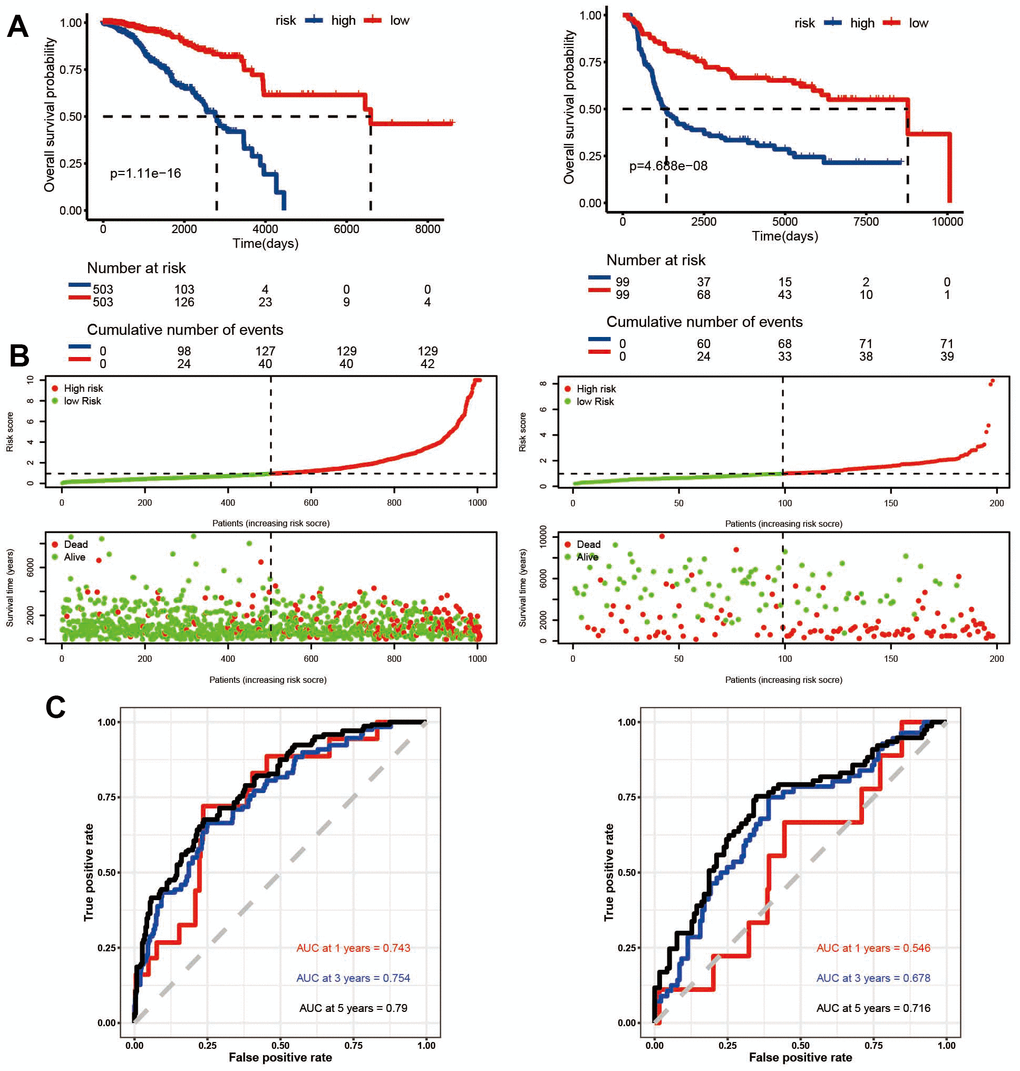 Survival evaluation of ADCP-related risk scoring model in TCGA and METABRIC datasets. (A) Kaplan-Meier survival curves, (B) patient subgrouping based on risk scores, and (C) ROC curves assessed the performance of the ADCP-related risk scoring model in predicting overall survival at 1, 3, and 5 years.