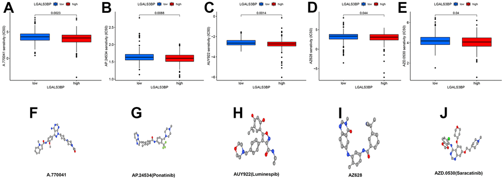 Potential therapeutic drugs related to ccRCC and 3D conformer of five potential drugs. (A) A.770041. (B) AP.24534. (C) AUY922. (D) AZ628. (E) AZD. 0530. (F) 3D conformer of A.770041. (G) 3D conformer of AP. 24534. (H) 3D conformer of AUY922. (I) 3D conformer of AZ628. (J) 3D conformer of AZD.0530.