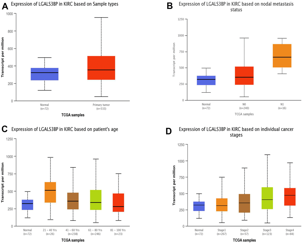 The expression of LGALS3BP mRNA in subgroups of ccRCC patients (UALCAN). (A) The comparative expression of LGALS3BP in normal and KIRC samples. (B) LGALS3BP expression in normal and ccRCC tissues (with or without nodal metastasis). (C) LGALS3BP expression in ccRCC patients aged 21–40, 41–60, 61–80, or 81–100. (D) Comparative expression of LGALS3BP in normal and ccRCC (stage 1, 2, 3, or 4) samples. *, p 