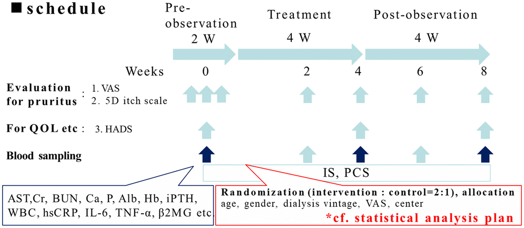 The protocol of the clinical trial. The study was divided into three phases: (1) a pre-observation phase of two weeks; (2) a treatment phase of four weeks; (3) a post-observation phase of four weeks. All the participants received pre-observation screenings two weeks before the study with three visits. In the treatment phase, the control group received oral or parental antihistamine or topical cream/ointment for pruritus as routine anti-pruritic treatment according to the principle of each institute. For the intervention group added 6 g/day of AST-120 along with routine anti-pruritic treatment. In the treatment phase, the participants received two visits, in the 2nd and 4th weeks. In the post-treatment phase, the participants received two visits, in the 6th and 8th week.
