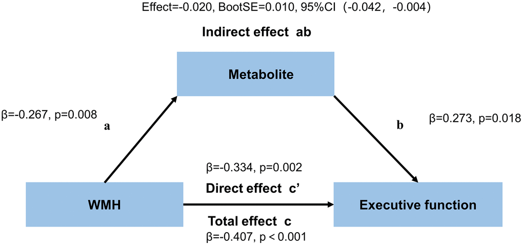 Mediation effects of GABA+/Cr levels in the ACC on the association between WMH volume and executive function.