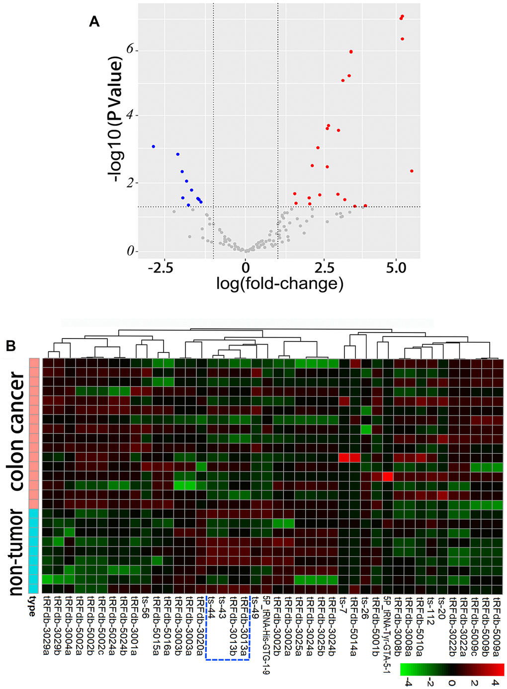 Differential expression analysis between paired colon adenocarcinomas (n=16) and non-tumor controls (n=9) of TCGA-COAD dataset. (A) Volcano plots of the differentially expressed tsRNAs, including 15 up-regulated and 27 down-regulated tsRNAs. (B) Hierarchical clustering and heatmap of differentially expressed tsRNAs, the up-regulated tsRNAs are clustered in red-shaded areas, and the green-shaded areas indicate down-regulation.