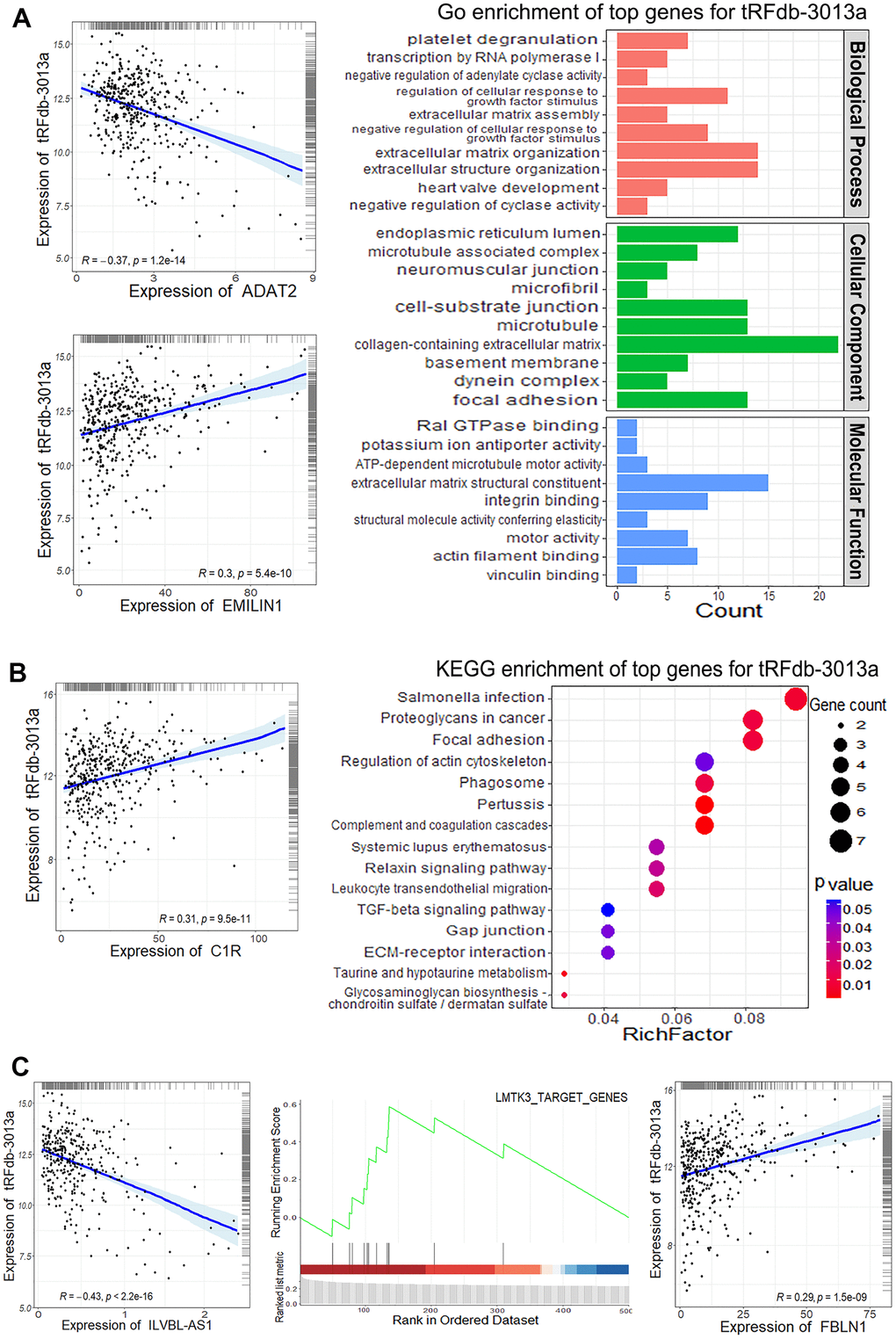 The enrichment analysis of tRFdb-3013a related-genes within TCGA-COAD data. (A) The top gene ontology (GO) terms, including biological process, cellular component and molecular function. (B) The top KEGG pathway for tRFdb-3013a related-genes. The correlation scatter-plots of tRFdb-3013a and its related-genes (ADAT2, EMILIN1, and C1R). (C) GSEA (gene set enrichment analysis) plots of the molecular signatures, the scatter plots for tRFdb-3013a and its related-genes (ILVBL-AS1, FBLN1).