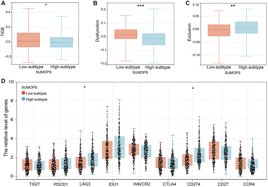 The prognostic value of SUMOPS for ICI treatment. (A–C) Scores of (A) TIDE, (B) T cell dysfunction and (C) T cell exclusion in different SUMOPS subtypes. (D) Box plots illustrating the relationships between SUMOPS subtypes and the expression of immune checkpoints. *p **p ***p 