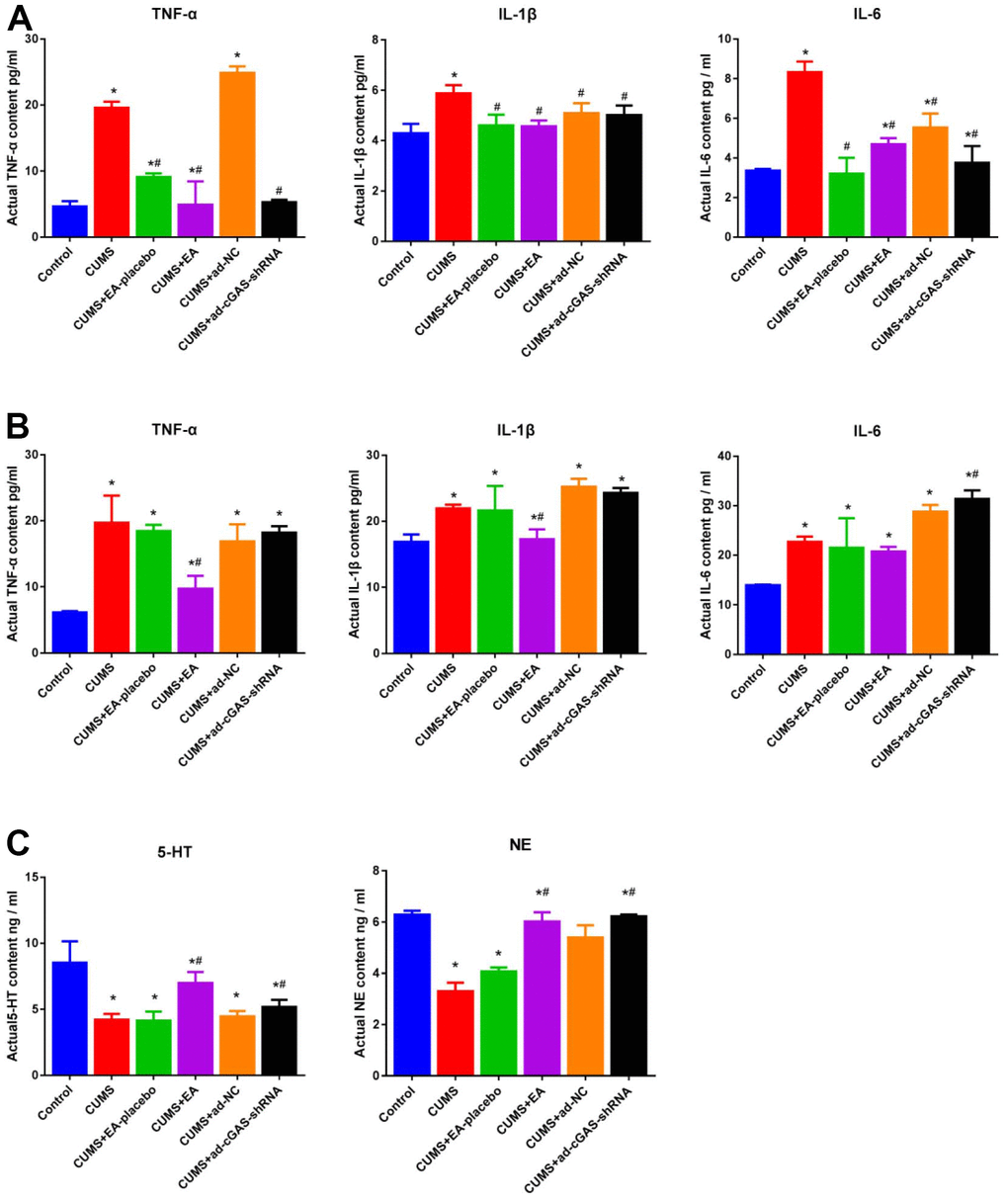 The impact of EA and knockdown of cGAS on the production of inflammatory factors and monoamines in depressed mice. (A) The concentration of TNF-α, IL-1β, and IL-6 in the serum was measured by ELISA. (B) The concentration of TNF-α, IL-1β, and IL-6 in the hippocampus was measured by ELISA. (C) The release of 5-HT and NE in the hippocampus was determined by ELISA (*p