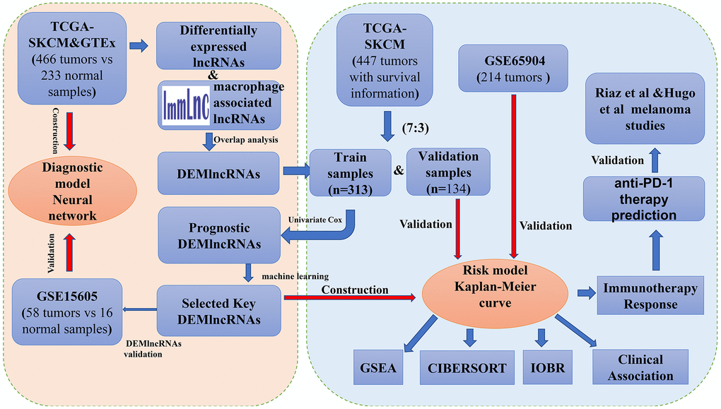 The complete workflow of the analysis in this present study.