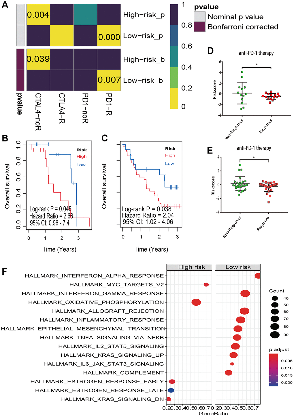 Immunotherapy response prediction. (A) Submap analysis manifested that low risk group could be more sensitive to the PD-1 inhibitor (Bonferroni-corrected P = 0.07), and high risk group are insensitive to anti-CTLA-4 therapy (Bonferroni corrected P = 0.039); (B) Kaplan–Meier survival analysis of risk model in Hugo et al melanoma study (accession number: GSE78220); (C) Kaplan–Meier survival analysis of risk model in Riaz et al melanoma study (accession number: GSE91061); (D) The risk score distribution of anti-PD-1 therapy between response and non-response in GSE78220; (E) The risk score distribution of anti-PD-1 therapy between response and non-response in GSE91061; (F) Gene set enrichment analysis (GSEA) of high vs low risk scores groups in cancer hallmark pathways.
