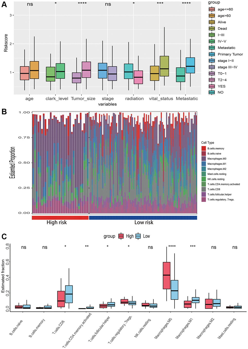 Relationships between risk score with clinical characteristics and immune microenvironment. (A) The risk score distribution of clinical variables which including age, clark level, tumor size, stage, radiation, vital status and metastatic status. (B) The landscape of immune infiltration between high and low risk groups in TCGA-SKCM dataset. (C) The difference of 11 immune infiltration between high and low risk groups; *p **p ***p ****p 
