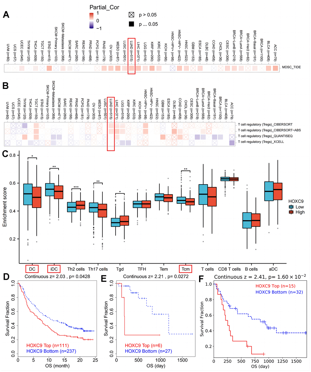 The correlation analysis between HOXC9 level and suppressive immune cells among cancers. (A) HOXC9 was significantly related to MDSC in LUAD. (B) HOXC9 was significantly related to Tregs in LUAD. (C) patients with high HOXC9 possessing lower DC and Tcm infiltrations. (D) HOXC9 expression was related to shorter OS of bladder cancer. (E) kidney cancer. and (F) melanoma treated with ICIs. (*P