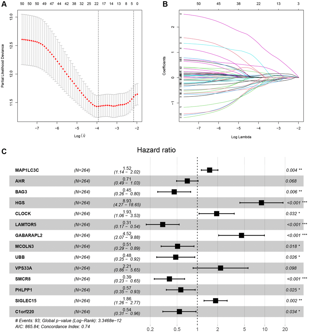 LASSO-Cox analysis was used for identifying the hub LDCD-RGs. (A) LASSO plot of LDCD-RGs mRNA in KIRC. (B) Cross-validation of the constructed model. (C) Multivariable Cox regression analysis of LDCD-RGs. Identified 14 target genes for model construction, including: MAP1LC3C, AHR, BAG3, HGS, CLOCK, LAMTOR5, GABARAPL2, MCOLN3, UBB, VPS33A, SMCR8, PHLPP1, SIGLEC15, and C1orf220. Abbreviations: LASSO: Least absolute shrinkage and selection operator; LDCD-RGs: LDCD-related genes; KIRC: kidney renal clear cell carcinoma.