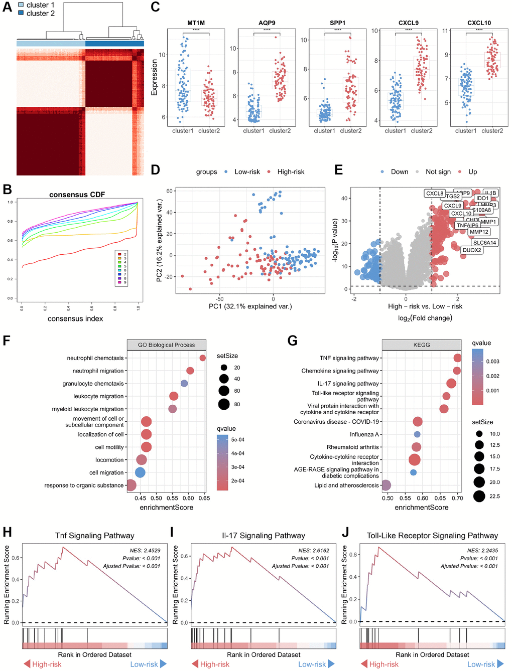 Functional annotation of core genes in the biomarker panel based on consensus clustering in CD. (A) Consensus score matrix of all samples when the number of clusters (k) is 2. (B) CDF curves of the consistency matrix for each k-value. (C) Differential analysis of the five core genes in the two subtypes (cluster 1 and cluster 2) obtained by consensus clustering. (D) Unsupervised PCA plots of samples in two new groups (high-risk and low-risk). (E) Volcano plots of DEGs in the high-risk and low-risk groups. (F) Gene ontology biological process and (G) KEGG enrichment analysis of DEGs between the high-risk and low-risk groups. GSEA of (H) TNF, (I) IL-17, and (J) Toll-like receptor signaling pathways. Abbreviations: CDF: cumulative distribution function; PCA: principal component analysis; KEGG: Kyoto Encyclopedia of Genes and Genomes; DEG: differentially expressed gene; GSEA: gene set enrichment analysis; TNF: tumor necrosis factor. ****P 