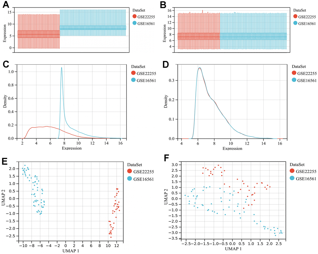 Merging of GSE16561 and GSE22255 datasets and batch effect removal. (A) Gene expression levels of the datasets before batch effect removal; (B) Gene expression levels of the merged dataset after batch effect removal; (C) Density plot of the datasets before batch effect removal; (D) Density plot of the merged dataset after batch effect removal; (E) UMAP plot of the datasets before batch effect removal; (F) UMAP plot of the merged dataset after batch effect removal. Abbreviations: UMAP, uniform manifold approximation and projection.