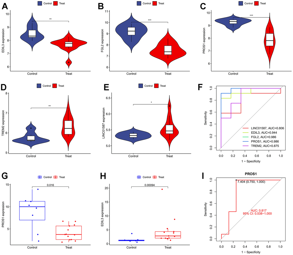 The analysis of genetic differences and diagnostic efficacy of model genes. (A) Differential expression of EDIL3; (B) Differential expression of FGL2; (C) Differential expression of PROS1; (D) Differential expression of TREM2; (E) Differential expression of LINC01587; (F) The ROC curve of SVM model; (G) Validating the differential expression of PROS1 in the experimental group; (H) Validating the differential expression of EDIL3 in the experimental group; (I) The ROC curve of PROS1 in the validation group.