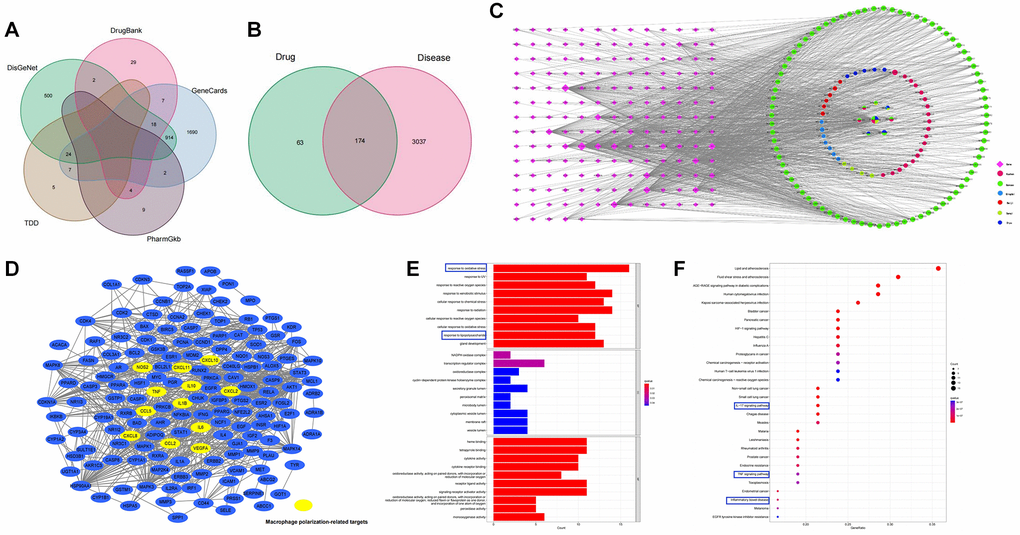 Pharmacology analysis of CSD. (A) Venn diagram of UC-associated genes in five databases; (B) Venn diagram of CSD target genes and differentially expressed genes in UC; (C) The CSD–active compound–target network; (D) Genes associated with macrophage polarization in PPI network; (E) GO analysis of CSD-targeted genes (p F) KEGG analysis of CSD-targeted genes.
