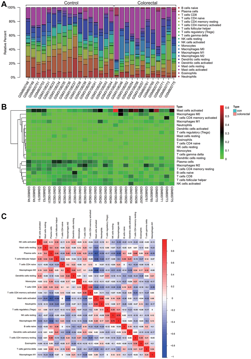 Analysis of immune infiltration. (A) Activated M2 macrophages and mast cells comprised a high proportion of the sample. (B) A Heatmap of immune cell expression in the dataset. (C) The correlative analysis was conducted on immune cell infiltration, the common expression patterns between components of immune cells, macrophages M2 high expression, activated mast cells can express is low.