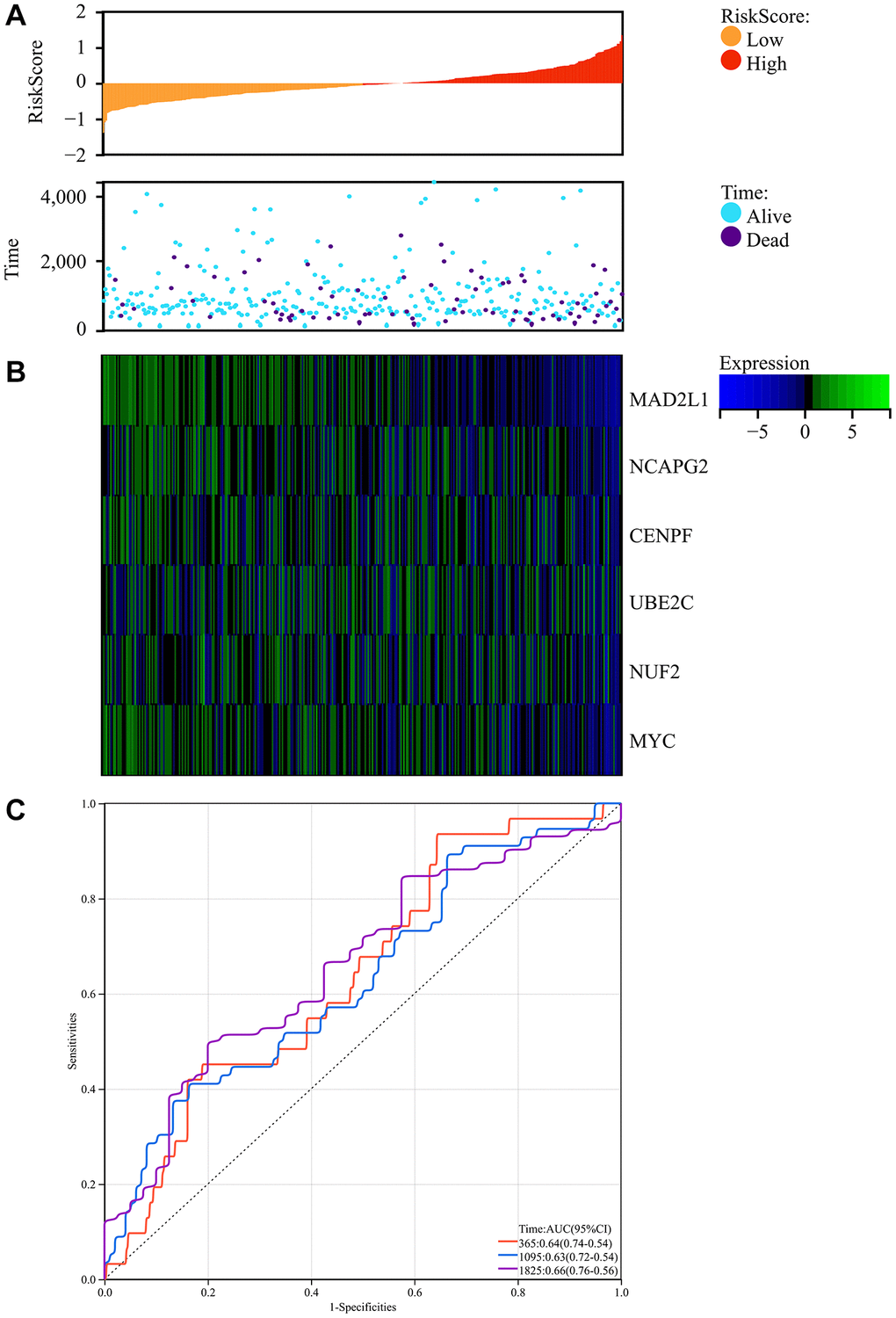 Survival analysis. (A) Prognosis score relationship map and expression difference heat map of core genes between colorectal cancer and normal tissue specimen. (B) The core genes were protective factors, showing decreasing expression trends with increasing risk score. (C) Risk score ROC curve.