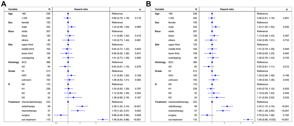 Multivariate regression analysis of prognostic factors. (A) Cancer-specific survival. (B) Overall survival. SCC: squamous cell carcinoma. AC: adenocarcinoma.