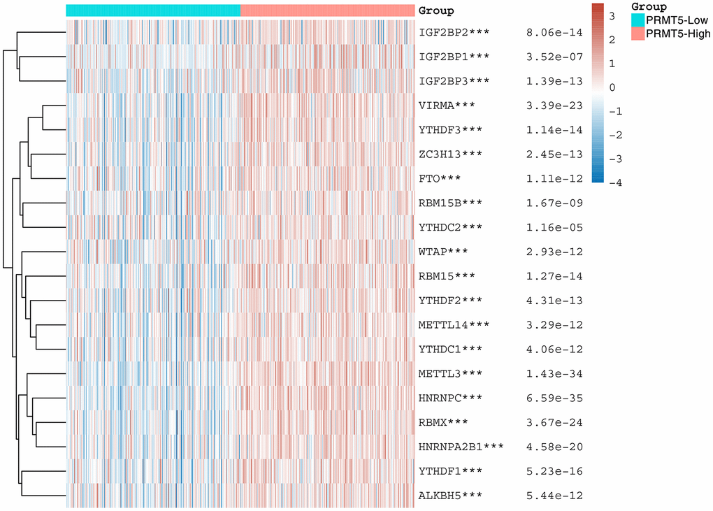 PRMT5 is associated with m6A modification. Heat map showing the correlation of PRMT5 expression with the expression of common m6A-related genes. *stands for significance levels, *for p 