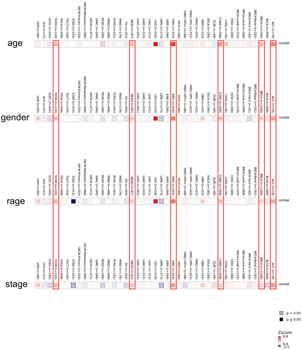 Correlation between HOTAIR expression level and clinicopathological parameters in human cancers including age, gender, race and stage across all tumors in TCGA. The red color indicates a positive correlation (0–1), while the blue color represents a negative correlation (−1–0). The correlation with P-value 
