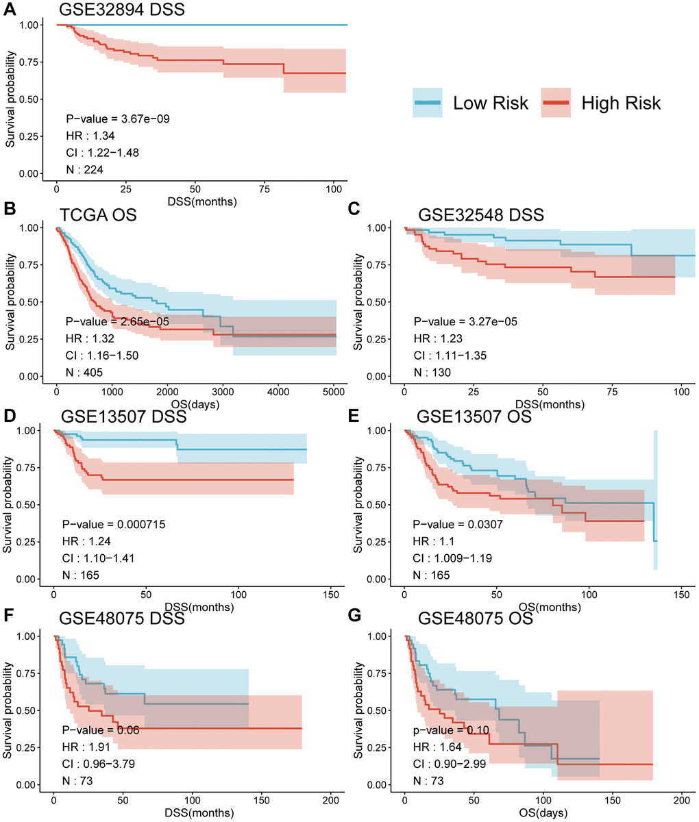 Survival curves (A–G) comparing the survival between different risk groups based on MPIGs across various datasets.