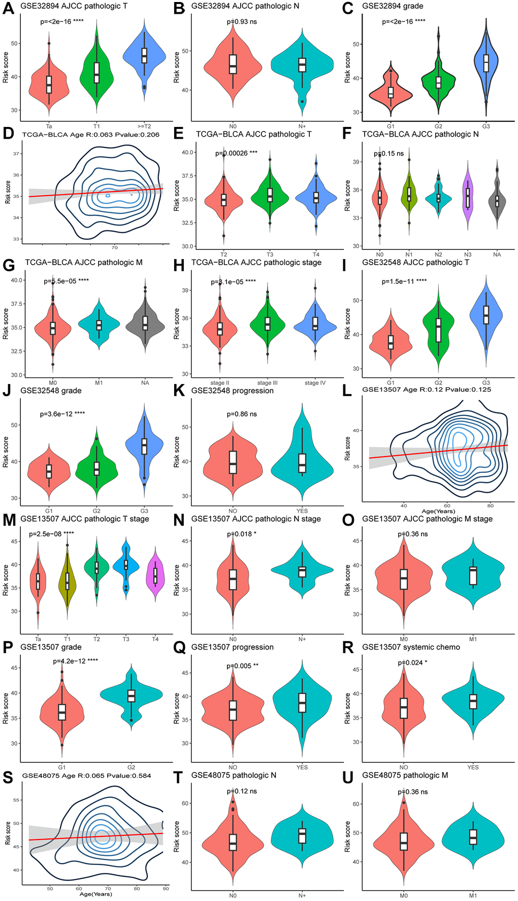 Violin plots (A–U) illustrate the relationship between clinical factors and risk scores, employing the Wilcoxon test for comparisons between two variables and the Kruskal-Wallis test for comparisons among more than two variables.