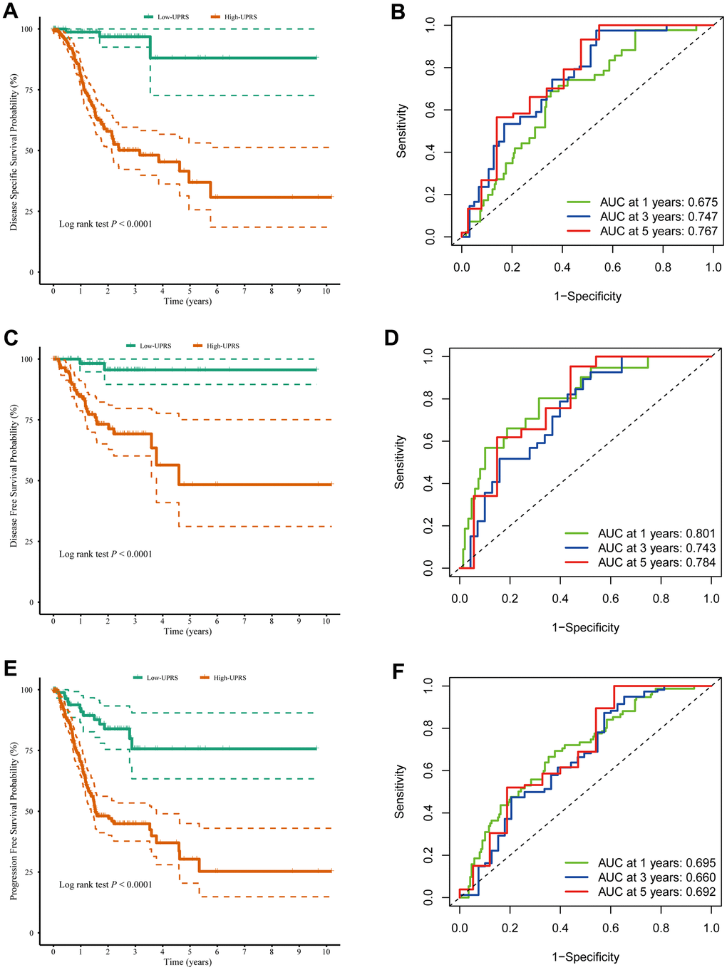 The UPR-related predictive signature for stomach cancer patients. (A) Disease-specific survival among different groups and (B) the ROC for disease-specific survival prediction. (C) Disease-free survival among different groups and (D) the ROC for disease-free survival prediction. (E) Progression-free survival among different groups and (F) the ROC for progression-free survival prediction.