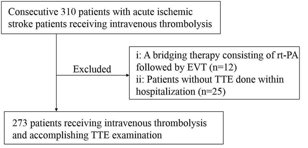 Flowchart of study population selection. rt-PA, recombinant tissue plasminogen activator; EVT, Endovascular therapy; TTE, Transthoracic echocardiography.