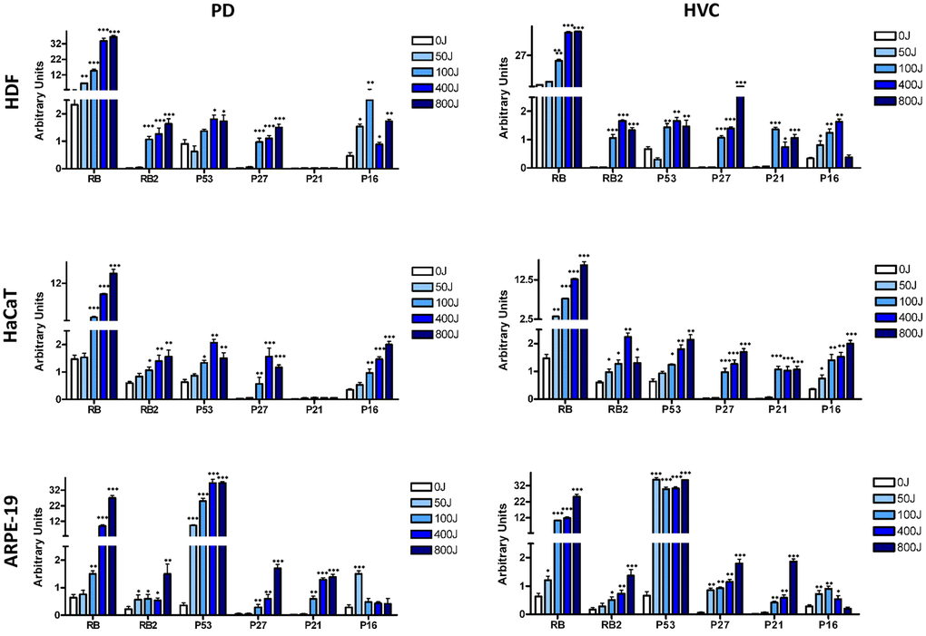 Analysis of principal pathways involved in senescence, apoptosis, and proliferation by western blot. The histogram shows the quantitative evaluation of western blot bands in HDF, HaCaT, and ARPE-19 after UV exposure with two different lamp sources: Purple Dawn (PD) and HVC2654025-16W (HVC) as indicated. The data are expressed as Arbitrary Units (A.U.) with the mean expression values (± SD, n = three). *p **p ***p 