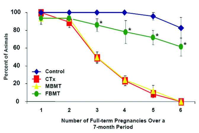 Male donor BM does not replicate the pro-fertility effects of female donor BM