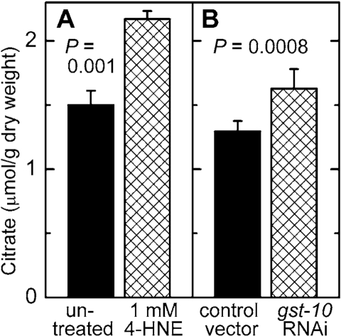 Effect of increased 4 HNE levels on citrate concentration