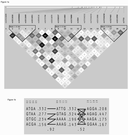 Linkage disequilibrium structure and haplo-typic architecture in CD36.