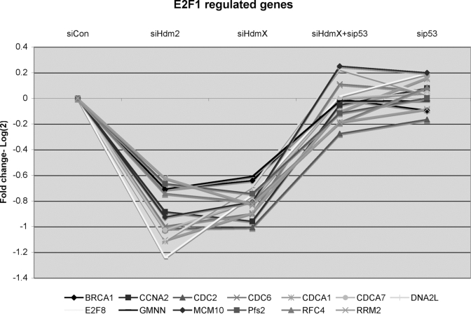 GeneChip expression of 13 reported E2F1-regulated genes that were repressed by knockdown of either siHdmX or siHdm2