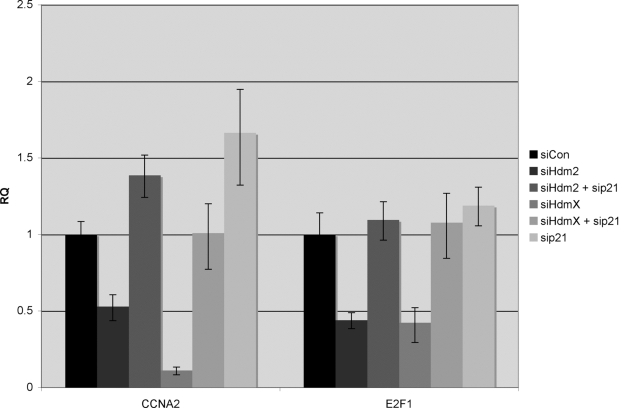 Repression of E2F1-regulated genes by Hdm2 or HdmX knockdown is blocked by concurrent knockdown of p21