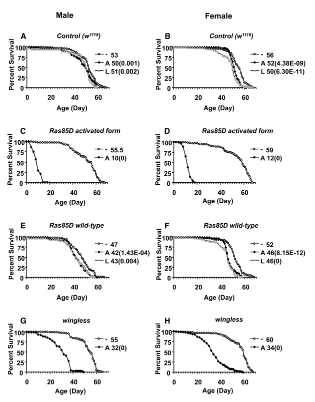 Effect of transgene over-expression on survival of adult flies