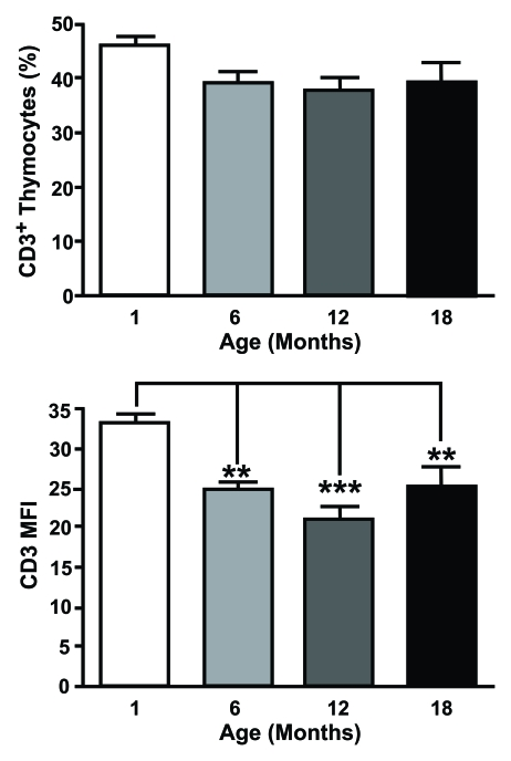 CD3 expression is altered on aged thymocytes