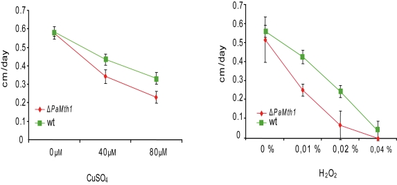 Growth rates of wild-type strain s and of the PaMth1 deletion strain on synthetic PASM medium containing different amounts of CuSO4 and of hydrogen peroxide, respectively