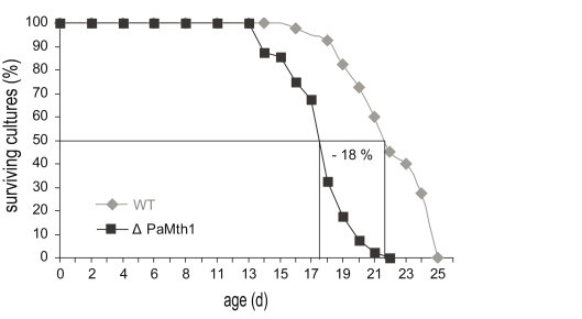  In comparison to wild-type strain s (n = 40), the mean lifespan of the PaMth1 deletion strain (n = 40) is decreased by 18%. Mean lifespan (wild-type strain s: 21 days and ΔPaMth1: 17 days) was determined on synthetic PASM medium. 
