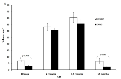 Age-related changes in the thymus of Wistar and OXYS rats