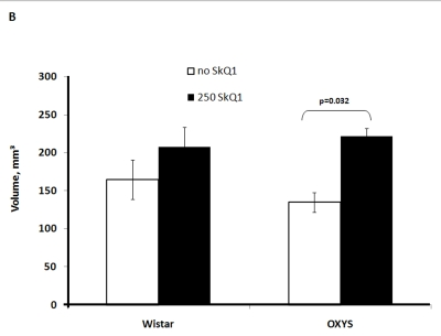 Effect of SkQ1 on thymic involution in Wistar and OXYS rats