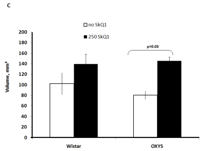 Effect of SkQ1 on thymic involution in Wistar and OXYS rats